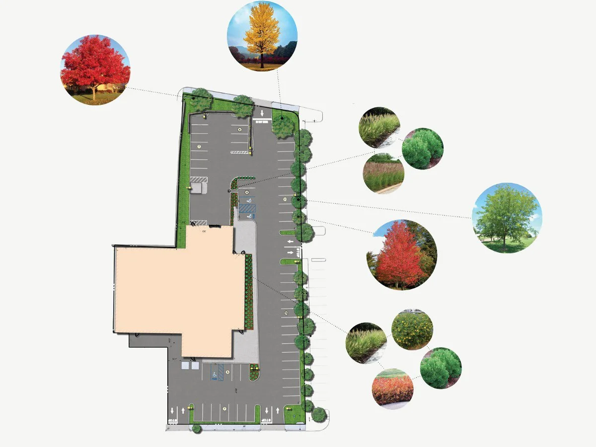 In collaboration with Bohler Engineering, site design inclusive of water management, parking layout and plantings were required for review by the town board.