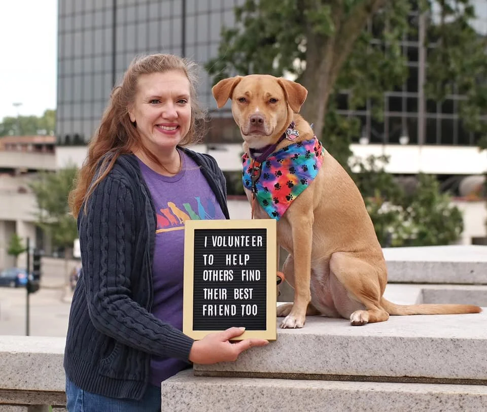 find foster home for dog