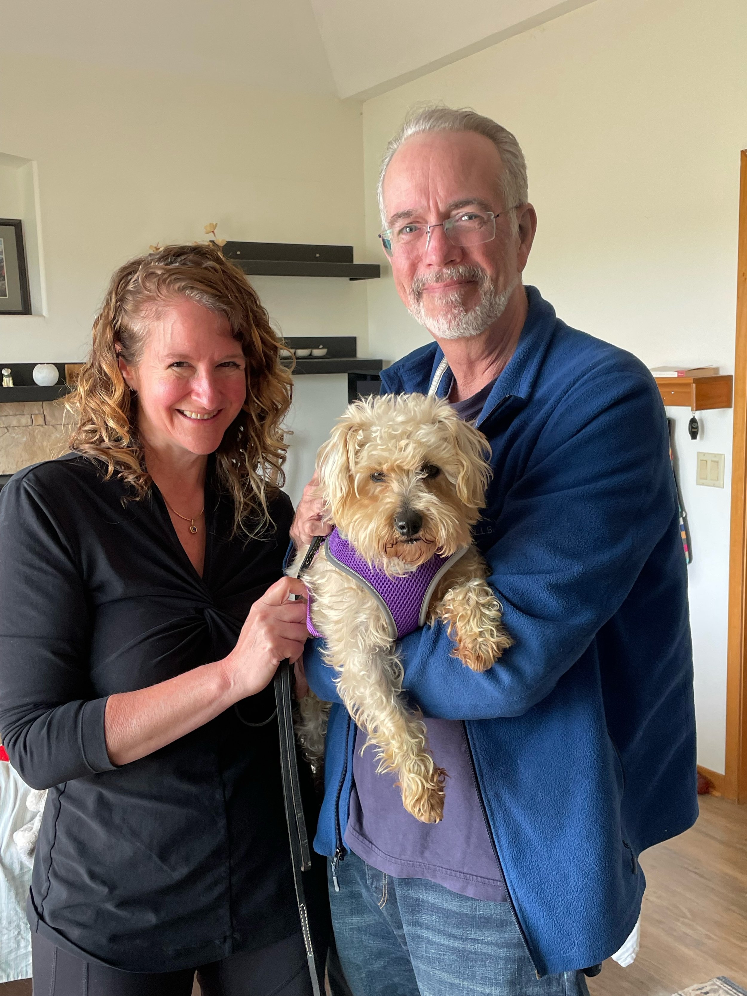 Mopsy — Fetch Wisconsin Rescue