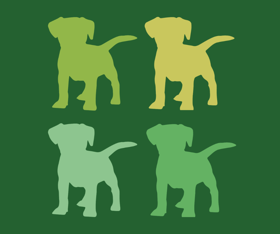 Store Icons (2).png