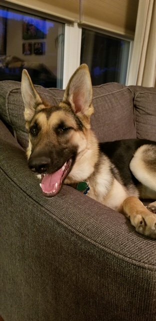Greta