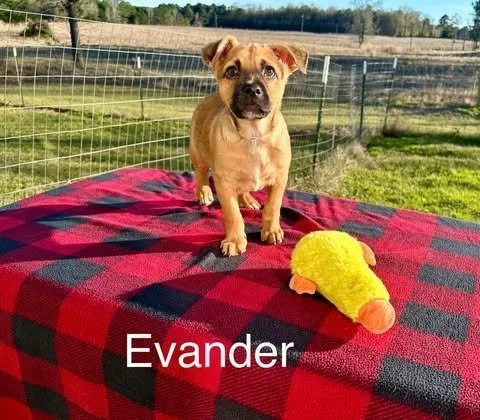evan8.jpg