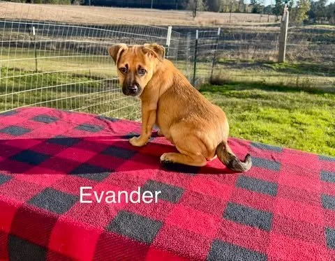 evan9.jpg