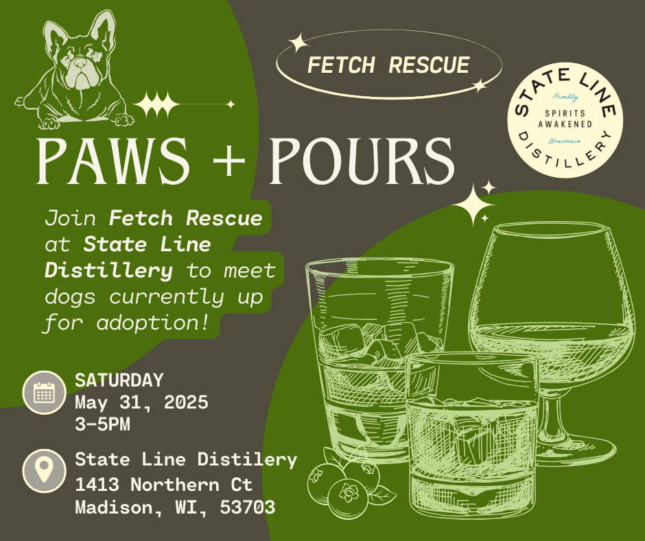 Paws + Pours