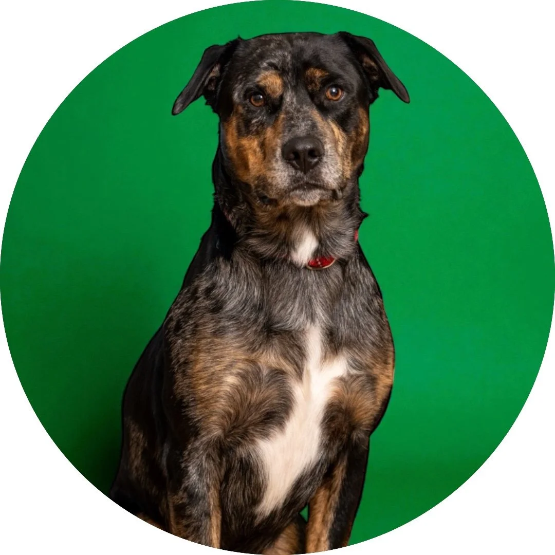 Hercules - Intake.jpeg