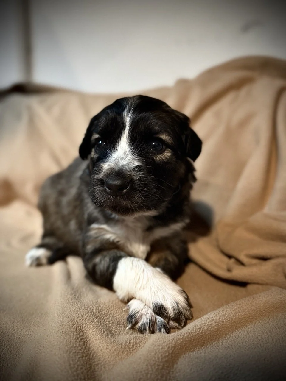 IMG_6326 2 Large.jpeg