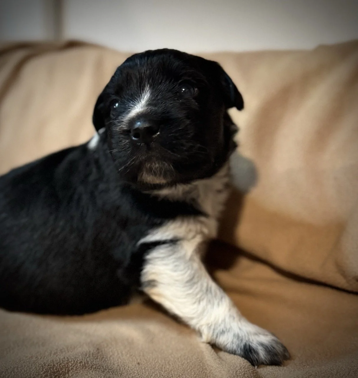 IMG_6320 2 Large.jpeg