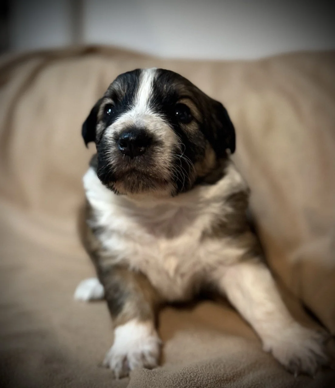 IMG_6317 2 Large.jpeg