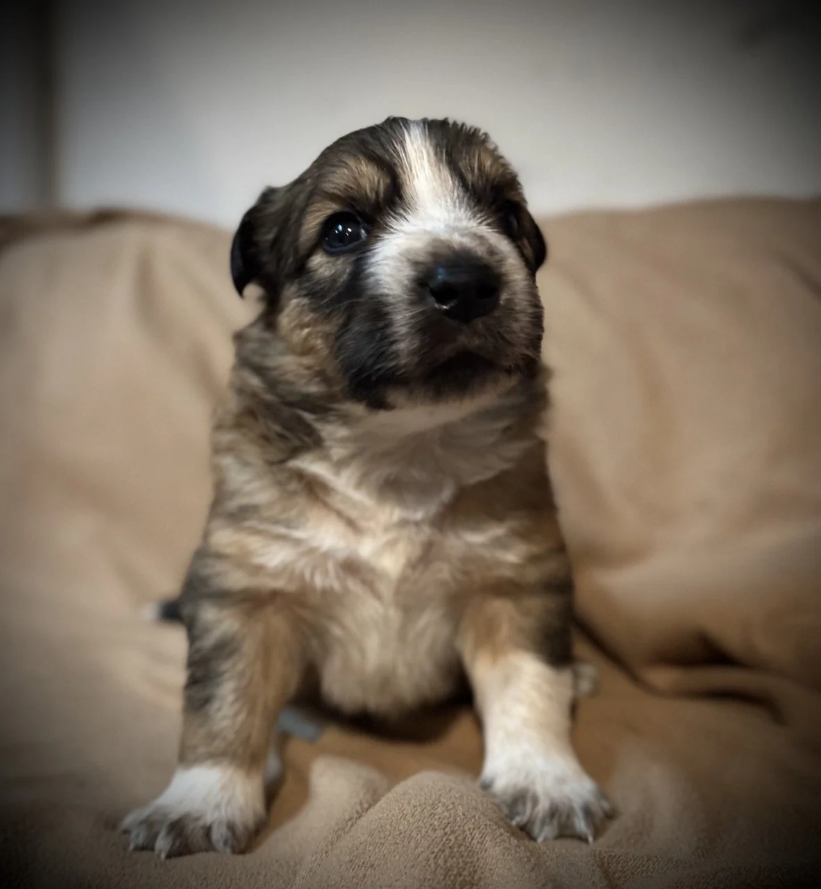 IMG_6314 2 Large.jpeg