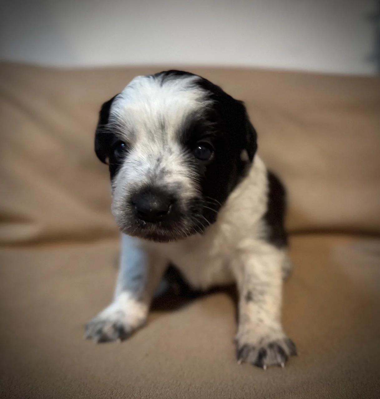 IMG_6306 2 Large.jpeg