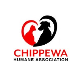 Transfer from Chippewa Humane Association