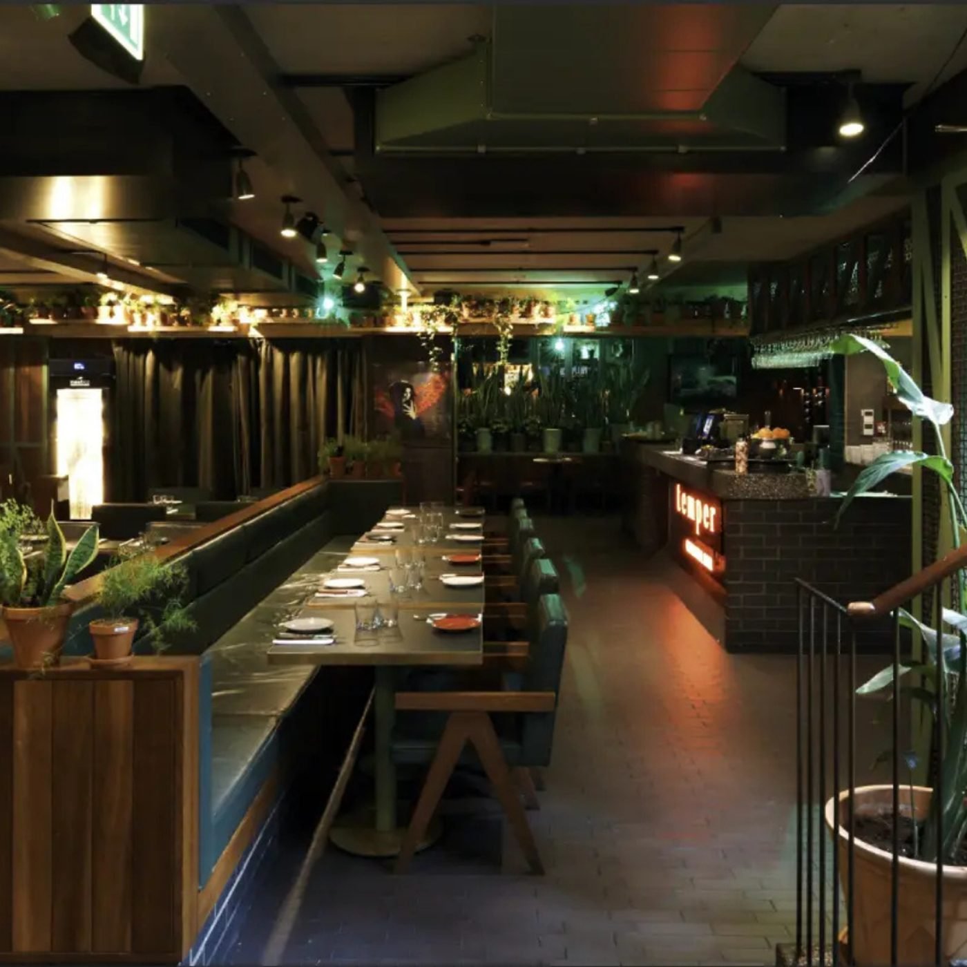 How Temper Grew Bottomless Brunch Clicks by 52% in Six Months