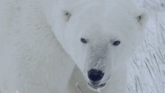 /projects/6puggpudltf77ckgpruqs5c2wt9eky