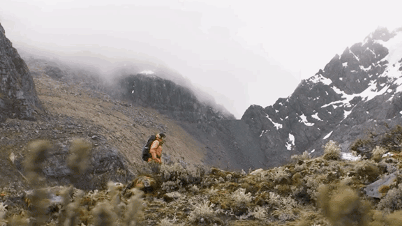 /projects/un14fkywvltgfw9diltmvkxvsebv22