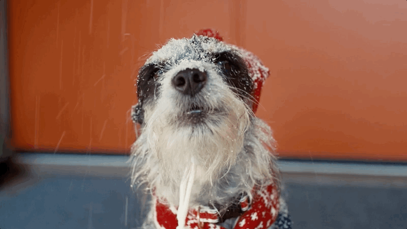 /projects-2/hmqmssnd0aabza644bq3hoyz2x5zwo