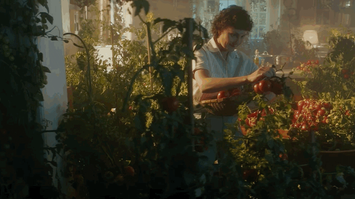 /projects/8frv26yr8otpteopka5gw8kn8l4fhi