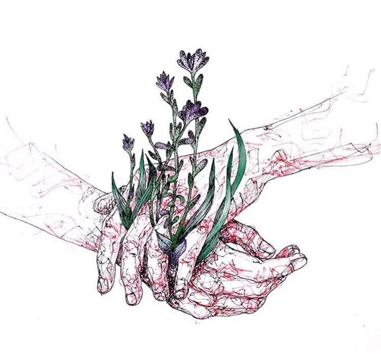 Sobre afetos e encontros