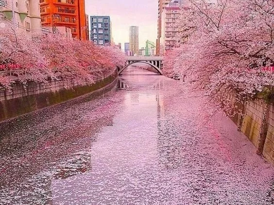 Transições, pontes e olhares