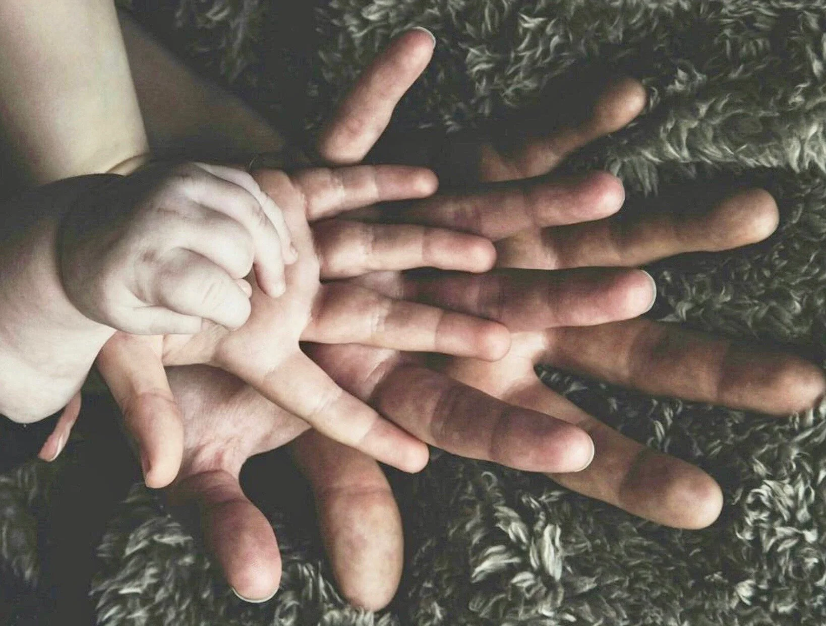 Limites e Educação