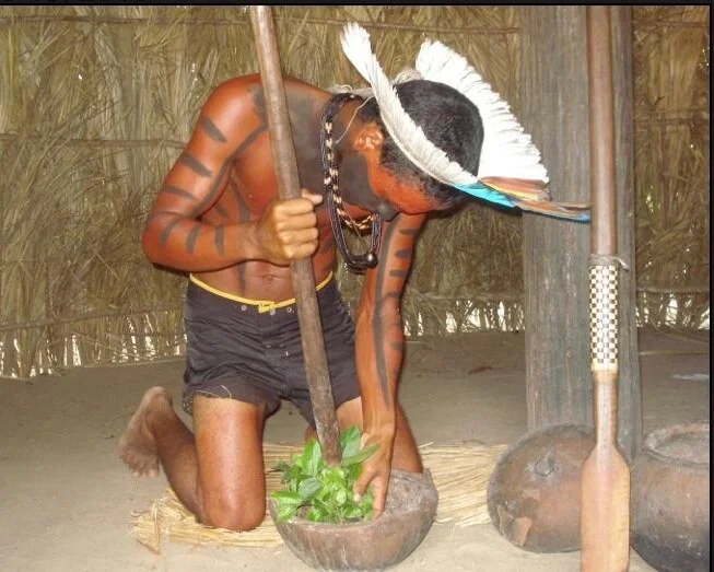 A vulnerabilidade na saúde indígena: o que precisamos entender para alcançar a equidade?