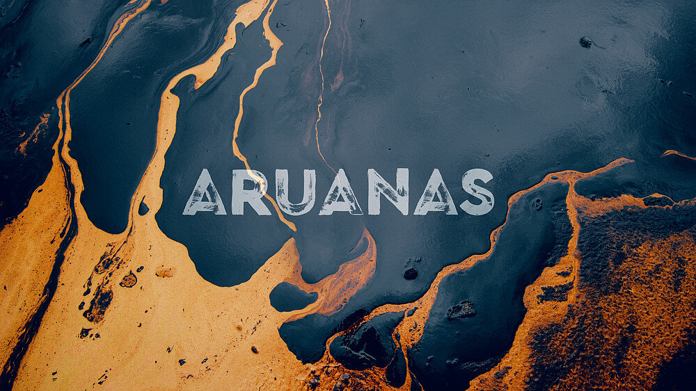 “ARUANAS” - Ativismo Feminista Reativo. 