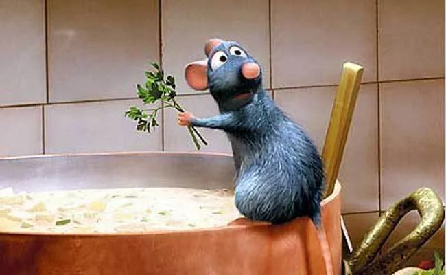 Gosta de cozinhar, mas não sabe os segredos dos Chefs?