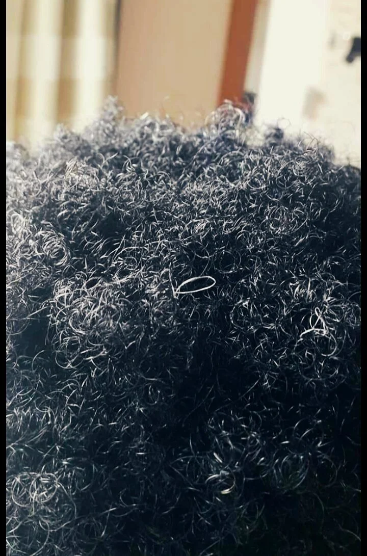 TEMPO, TEMPO, TEMPO, TEMPO…