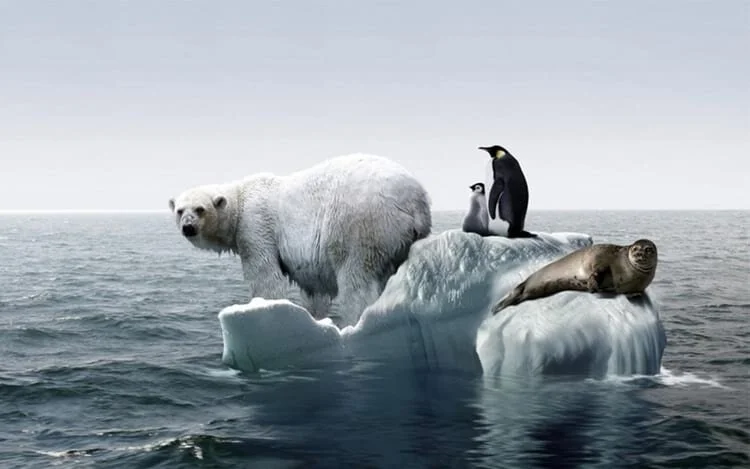 O FIM DAS FRONTEIRAS