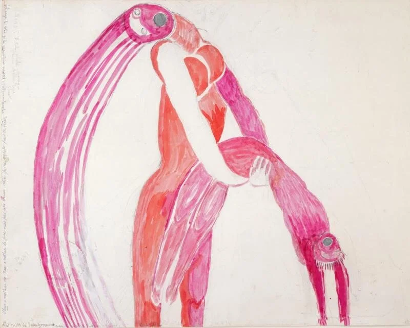 A escrita que nos move