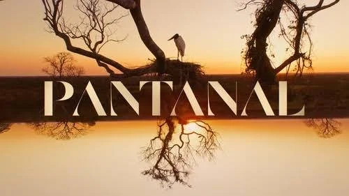 “PANTANAL” e a força da novela brasileira.