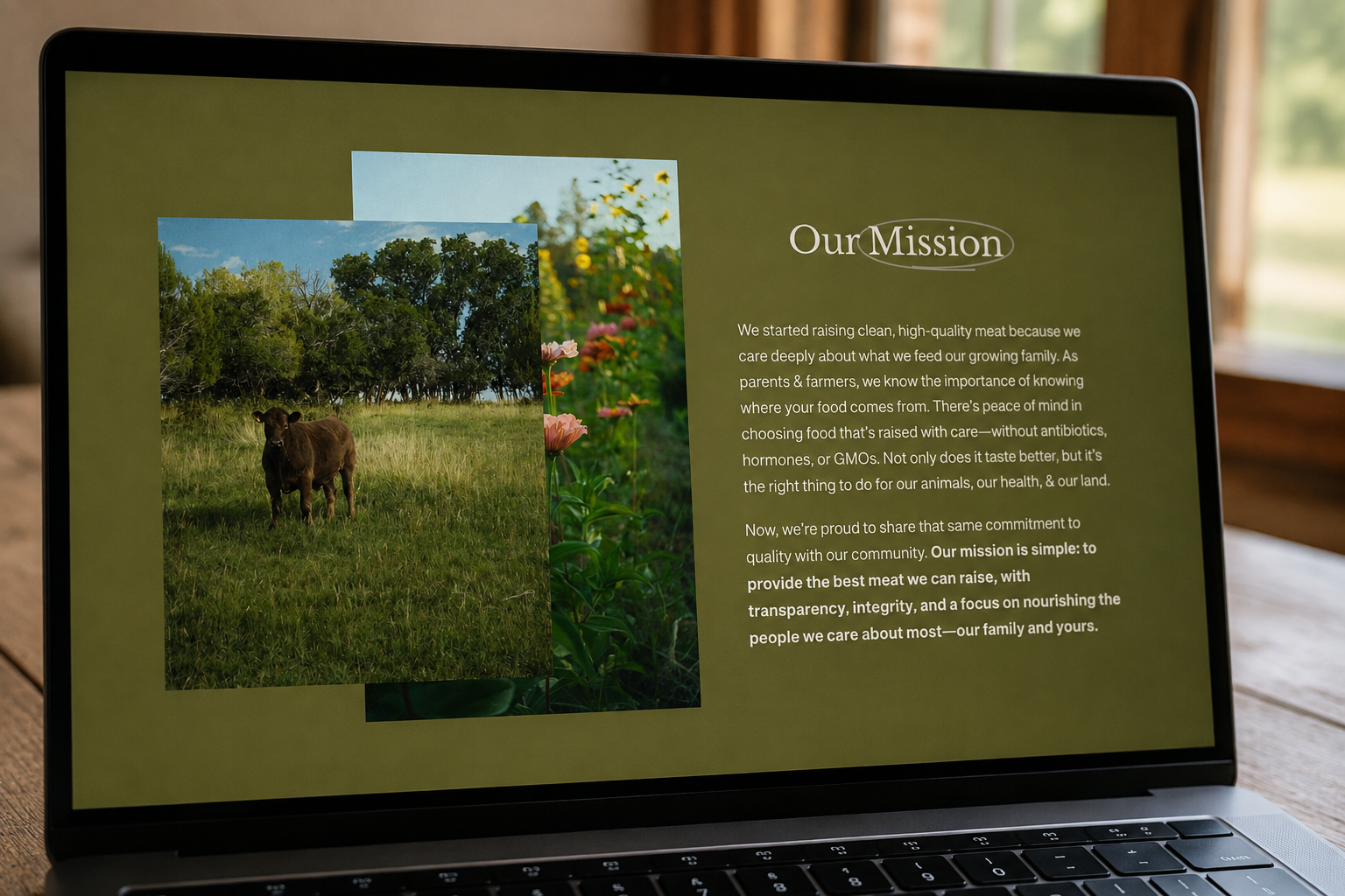 LTF_Website Highlight.png
