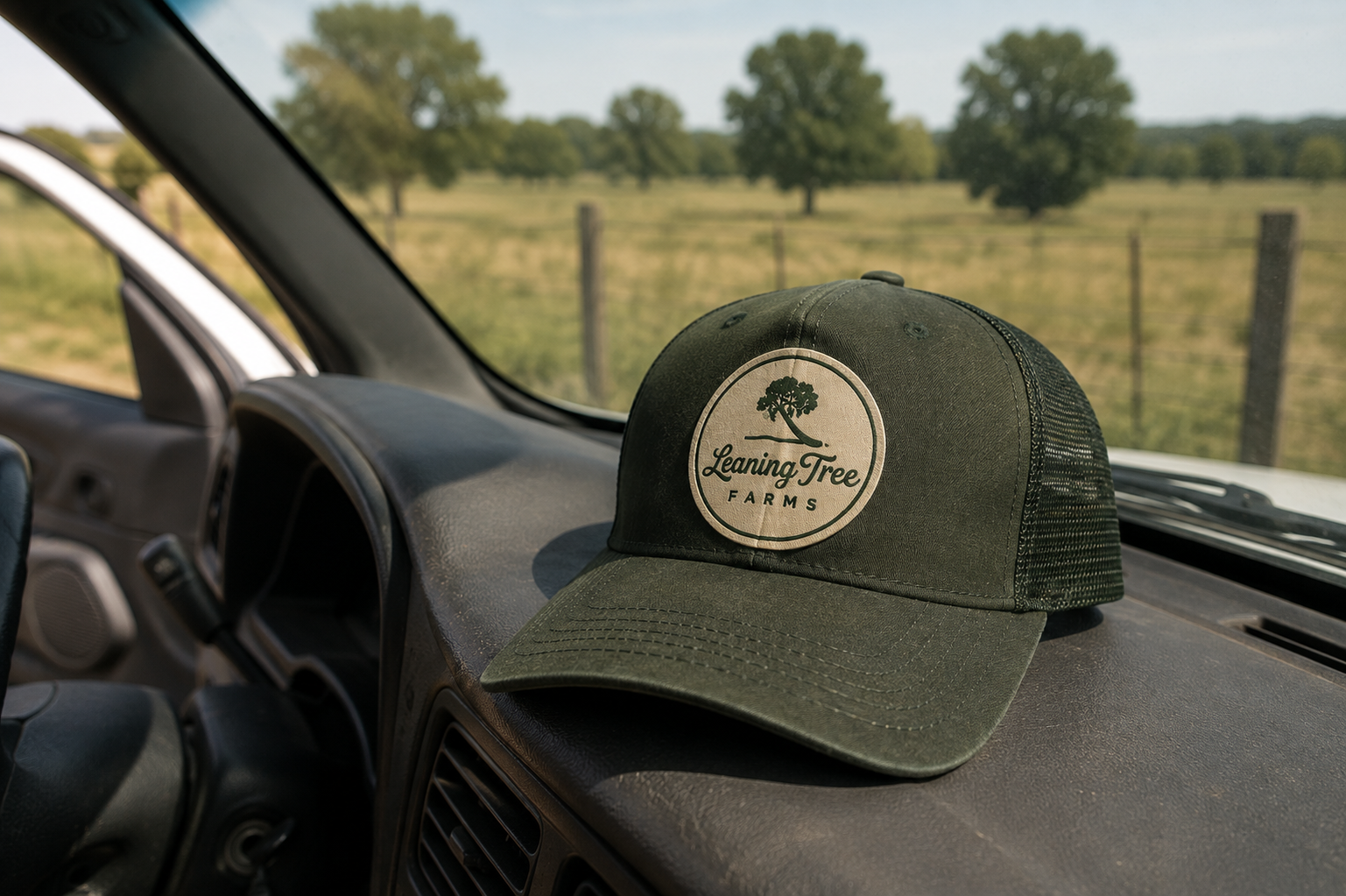 LTF_Dash Hat.png