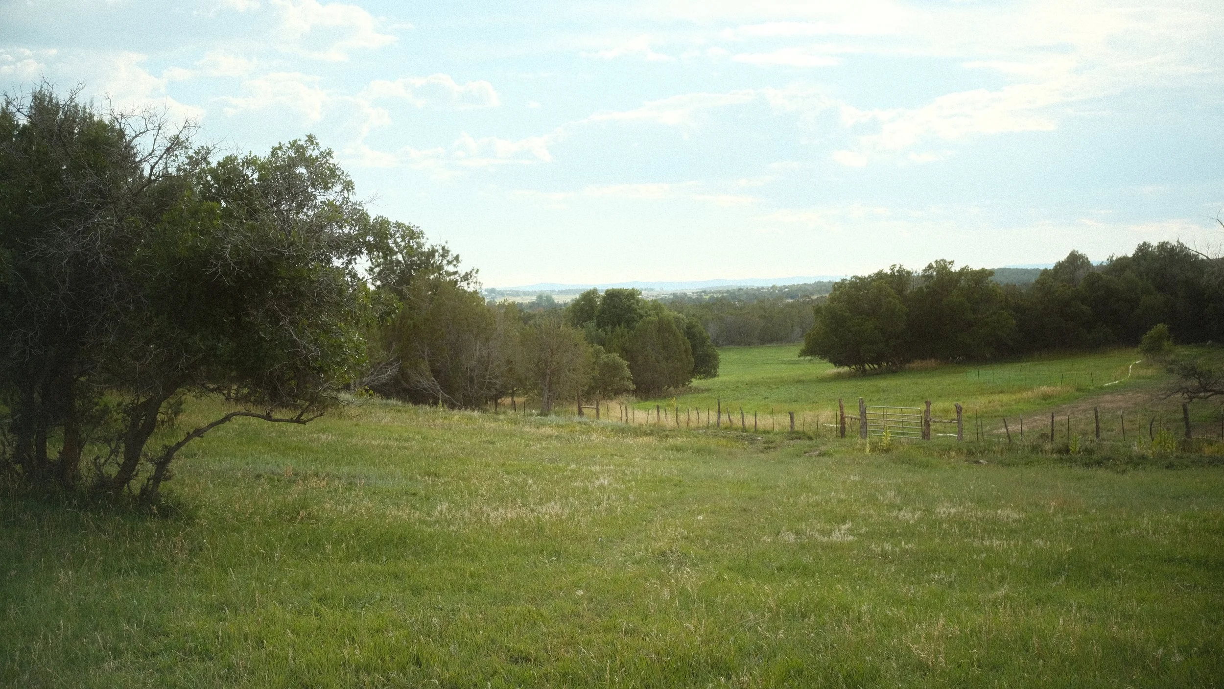 DSCF0335.JPG