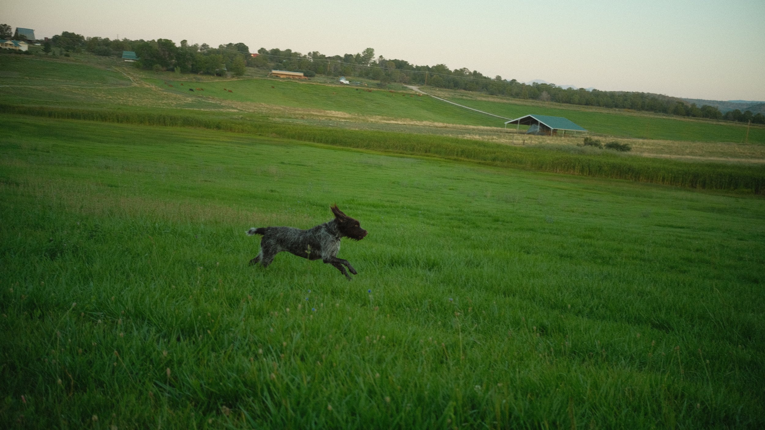 DSCF0486.JPG