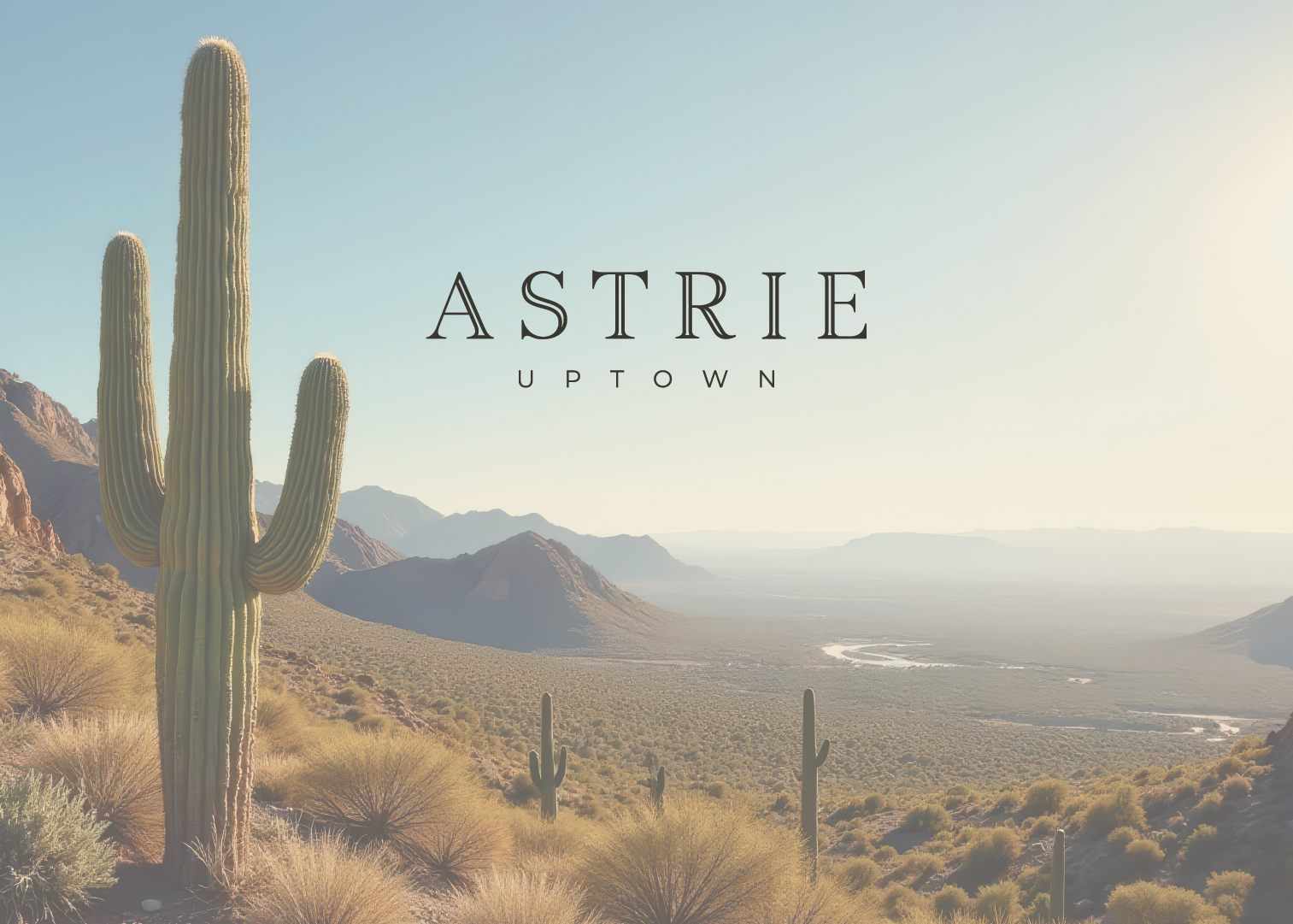 Astrie_Cactus Photo.png