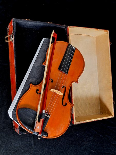 erwin-huebner-book-artist-ron-violin-book-2.jpg