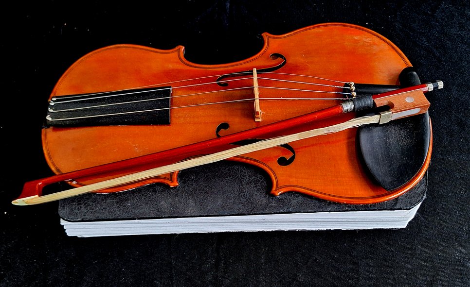 erwin-huebner-book-artist-ron-violin-book-3.jpg