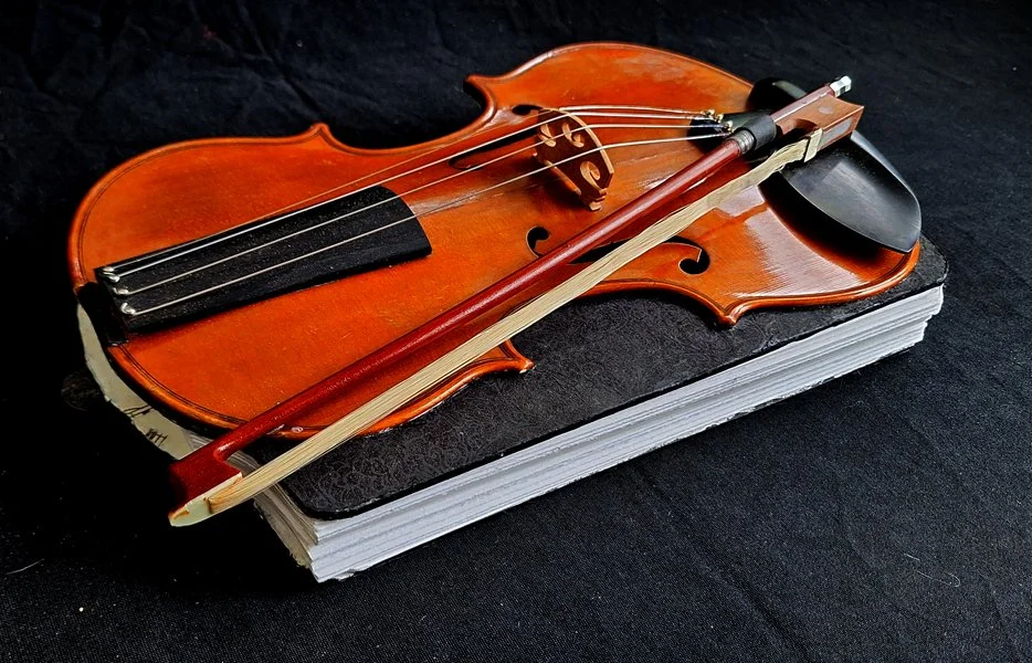 erwin-huebner-book-artist-ron-violin-book-4.jpg