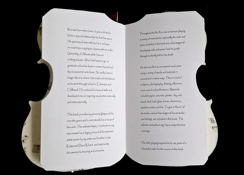 erwin-huebner-book-artist-ron-violin-book-8.jpg