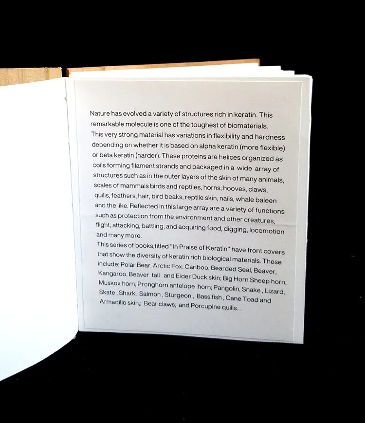 miniature-art-book-erwin-huebner-armadillo-text-page.jpg