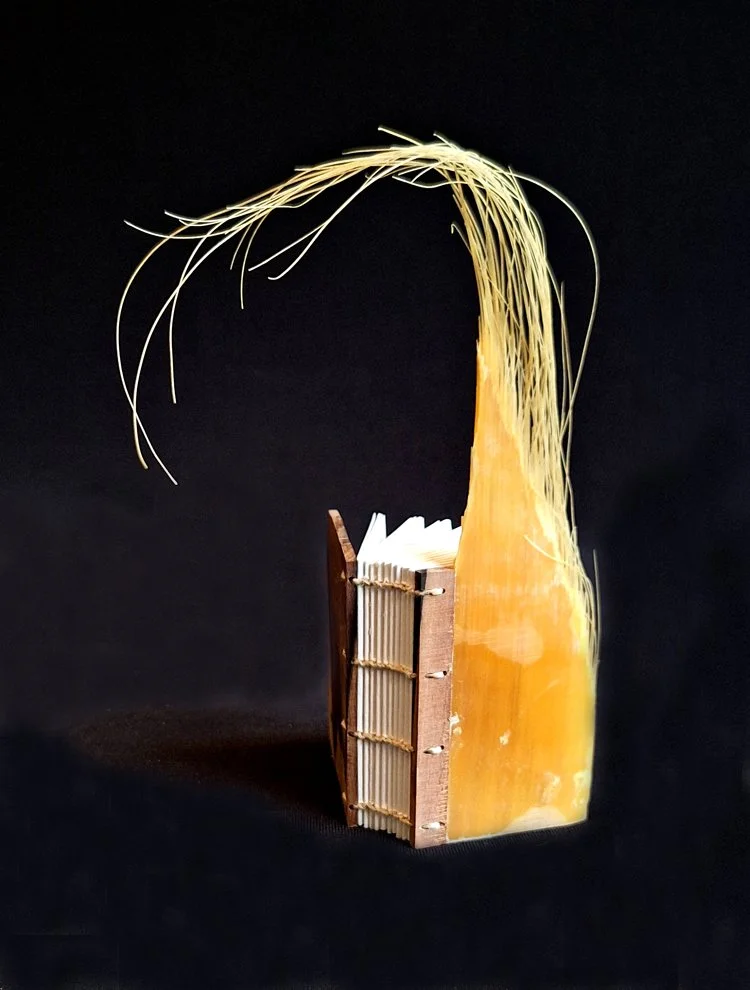miniature-art-book-erwin-huebner-baleen.jpg