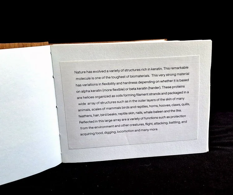 miniature-art-book-erwin-huebner-bearded-seal-title-page.jpg