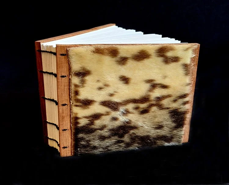 miniature-art-book-erwin-huebner-bearded-seal.jpg