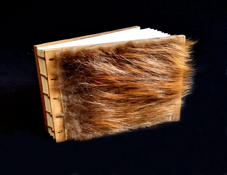 miniature-art-book-erwin-huebner-beaver.jpg
