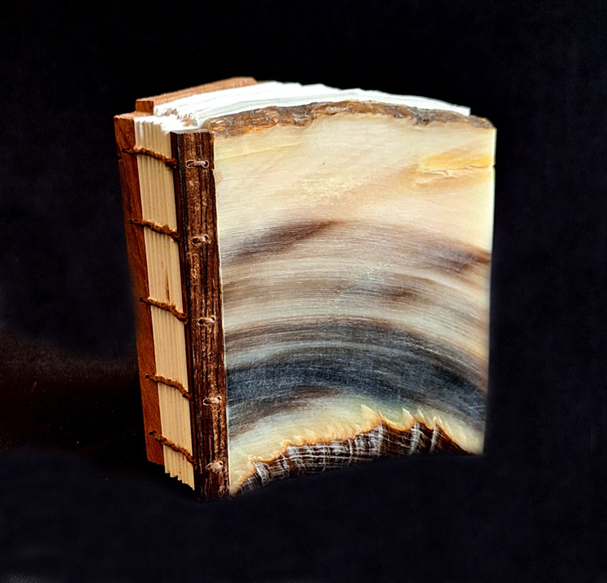 miniature-art-book-erwin-huebner-big-horn-sheep-keratin.jpg