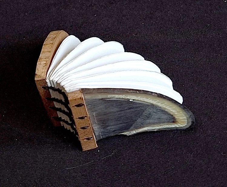 miniature-art-book-erwin-huebner-bovine-hoof-keratin.jpg