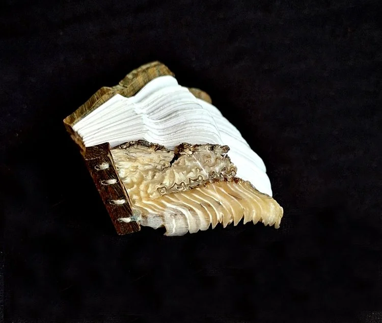 miniature-art-book-erwin-huebner-musk-ox-keratin .jpg