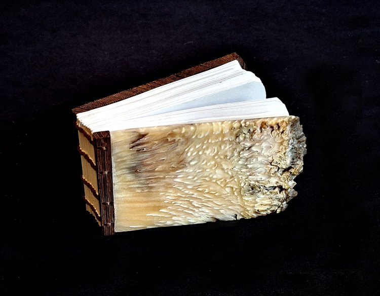 miniature-art-book-erwin-huebner-musk-ox-skin.jpg