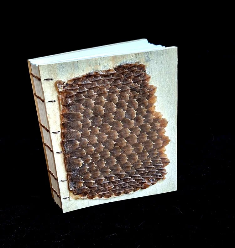 miniature-art-book-erwin-huebner-pangolin-keratin-2.jpg