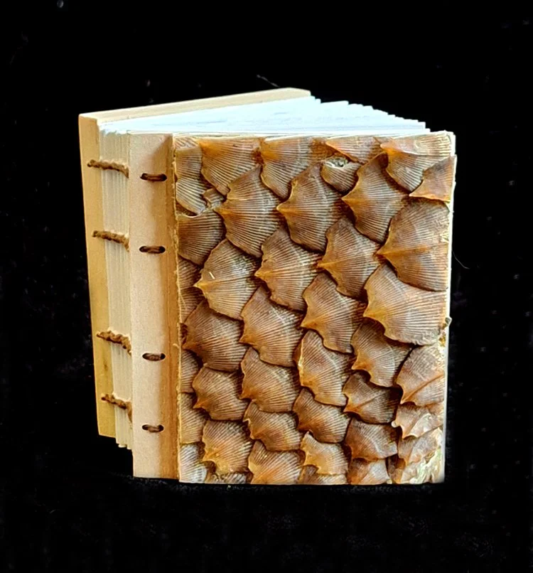 miniature-art-book-erwin-huebner-pangolin-keratin.jpg
